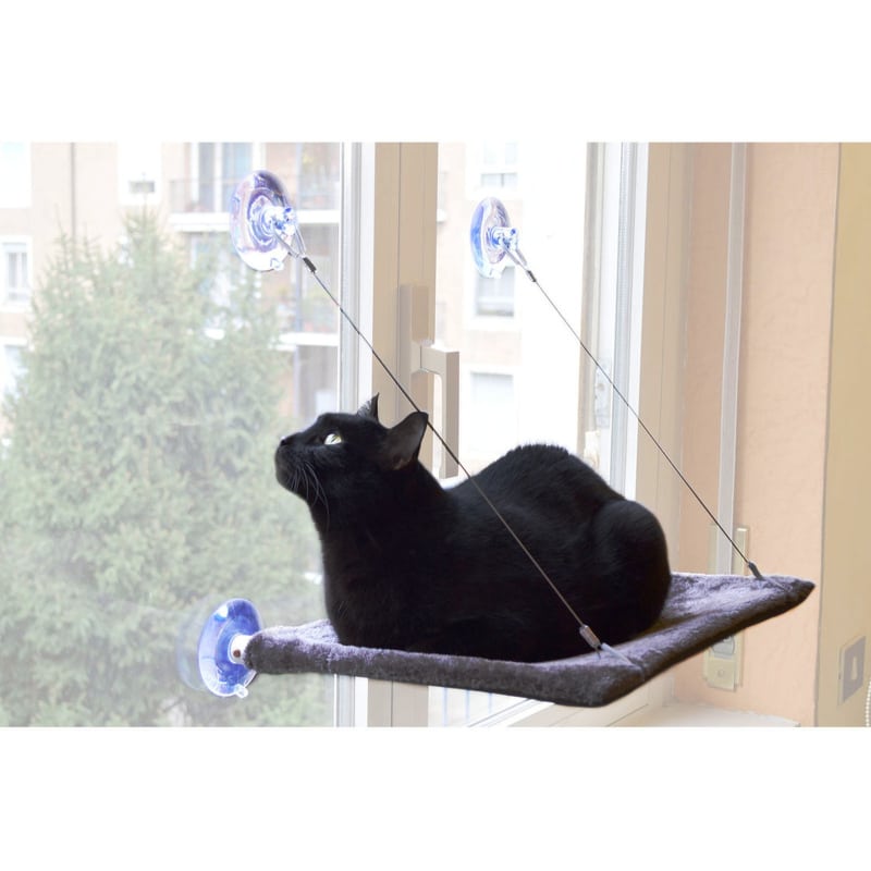 CAT VIEW Vindueseng til Katte | Design for